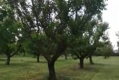 Casă cu Teren 800 Mp în Căscioarele