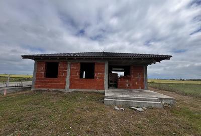 Casă cu 2 camere în Zimandu Nou - 2