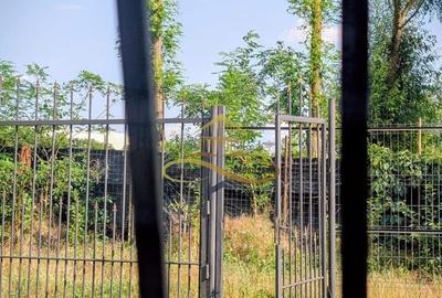 Casă cu 3 camere în Bogata