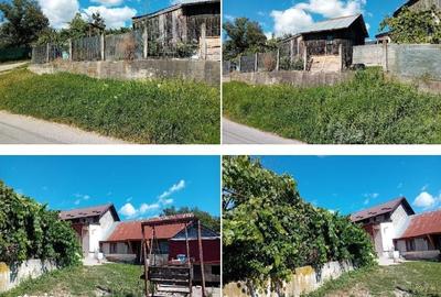 Casă cu 2 camere în Gura Vulcanei