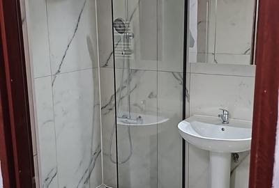Apartament cu 3 camere, mobilat în Mărăști - 11