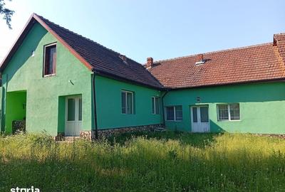Casă cu 4 camere cu Teren 2877 Mp în Brazii - 2