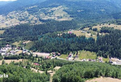 Teren de 16517 mp, în Arieșeni - 1