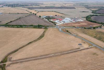 Teren agricol extravilan de 31383 mp, în Dudeștii Noi - 18