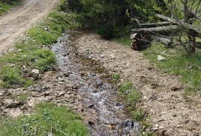 Teren de 1000 mp, în Băișoara