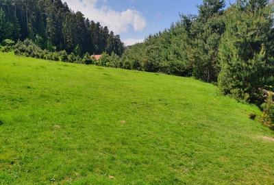 Teren Construcții intravilan de 5000 mp, în Săcele - 2