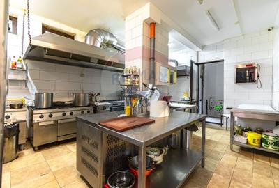 Hotel/Pensiune, de 1,320 mp, în Cioplea - 10