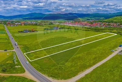 Teren Construcții intravilan de 8600 mp, în Tărlungeni - 2