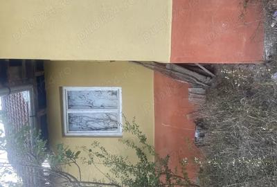 Casă cu 2 camere în Ormeniș - 10