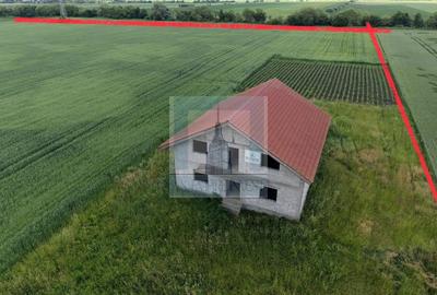 Teren Construcții intravilan de 50000 mp, în Hălchiu - 2