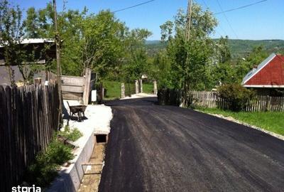 Teren de 4900 mp, în Poiana - 6