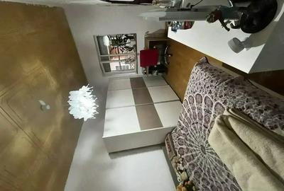 Apartament cu 2 camere decomandat în Aradul Nou - 4