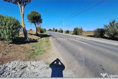 Teren de 400 mp, în Sud - 3