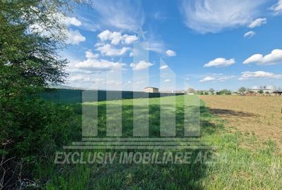 Teren agricol extravilan de 2600 mp, în Partoș - 1