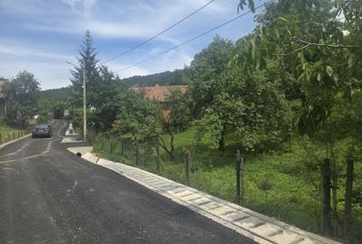 Spațiu comercial, în Deleni