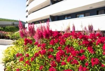 Apartament cu 2 camere semidecomandat în Zorilor - 7