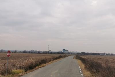 Teren Construcții intravilan de 4550 mp, în Ciolpani - 5