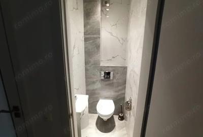 Apartament cu 2 camere în Gorjului - 3