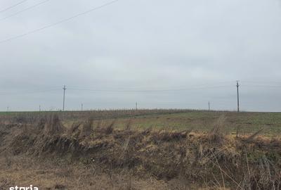 Teren de 140000 mp, în Albești - 2