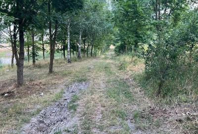 Casă cu Teren 5000 Mp în Central