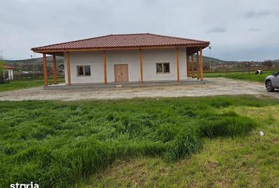 Casă cu Teren 1400 Mp în Valea Nucarilor - 4