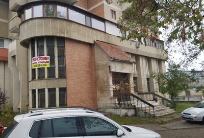 Spațiu comercial, de 887 mp, în Târgu Neamț - 1