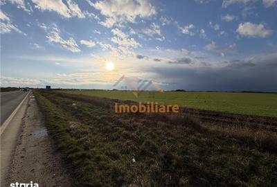 Teren de 24457 mp, în Nojorid - 1