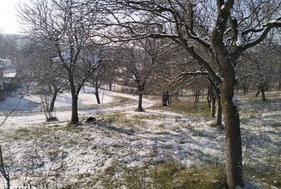 Teren de 5950 mp, în Scorțeni - 8