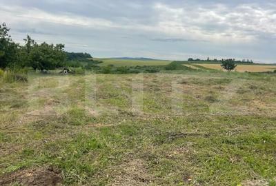 Teren Construcții intravilan de 500 mp, în Valea Ursului