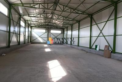 Spațiu comercial, de 275 mp, în Crevedia - 5