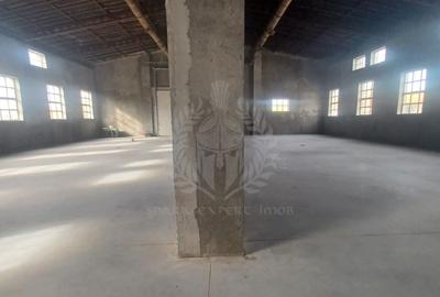 Spațiu industrial, în Bereasca - 3