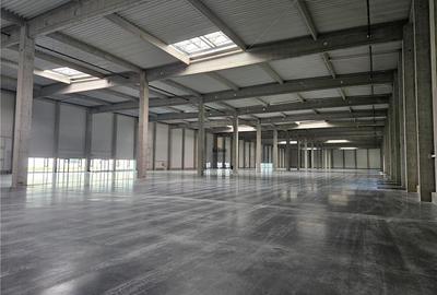 Spațiu industrial, de 9,500 mp, în Industrial Vest - 3