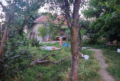 Casă cu 3 camere cu Teren 2500 Mp în Central