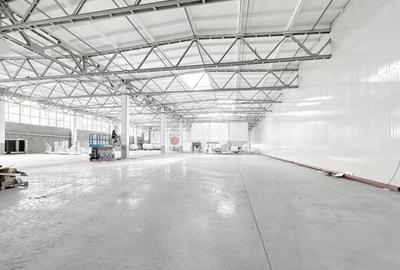 Spațiu industrial, de 2,400 mp, în Astra - 4
