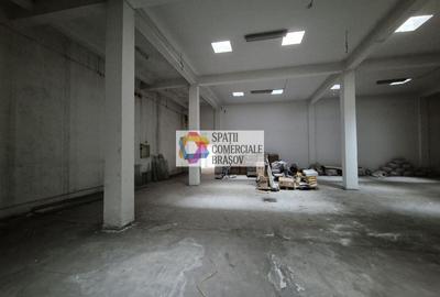 Spațiu industrial, de 1,333 mp, în Bartolomeu - 7