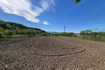 Teren de 1500 mp, în Bejan