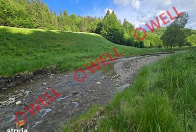 Teren de 57000 mp, în Vama Buzăului - 10
