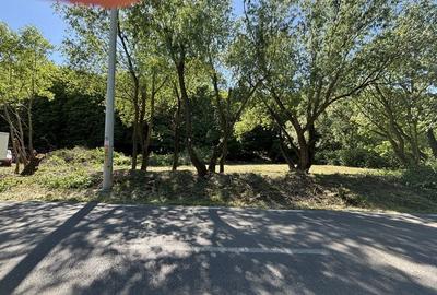Teren de 875 mp, în Budiu Mic - 2