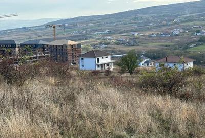 Teren Construcții intravilan de 545 mp, în Chinteni - 2