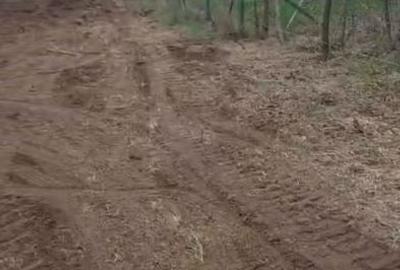 Teren Construcții intravilan de 900 mp, în Comana - 7