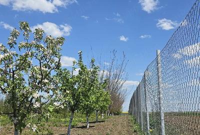 Teren de 2500 mp, în Central - 3