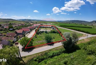 Teren de 7929 mp, în Daneș - 1