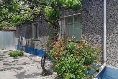 Casă cu 2 camere cu Teren 2880 Mp în Mișca - 4
