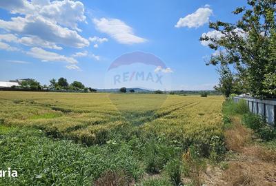 Teren de 15000 mp, în Central - 8