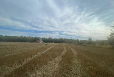 Teren de 3834 mp, în Lupăria - 5