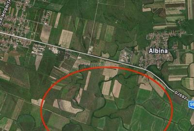 Teren Construcții intravilan de 1500 mp, în Moșnița Nouă - 3