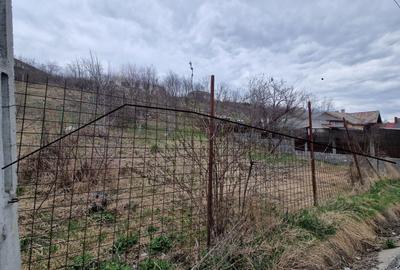 Teren agricol intravilan de 584 mp, în Dezmir - 4