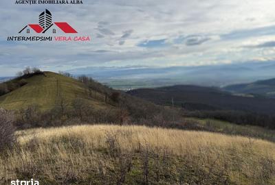 Teren de 8010 mp, în Vințu de Jos