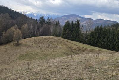 Teren Construcții intravilan de 3040 mp, în Bran - 7