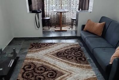 Apartament cu 3 camere semidecomandat în Podu Roș - 7